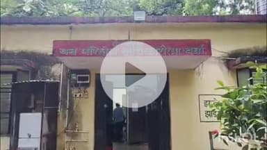 हिंगणघाट: आजनसरा परीसरात बॅनर लावून सापाचे प्रदर्शन करणाऱ्या चौघांना अटक:तब्बल विविध प्रजातीचे १३ साप जप्त