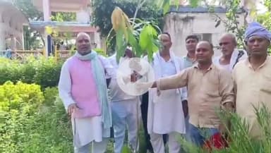 बिहिया: पूर्व विधायक भाई दिनेश ने महथीन माई मंदिर में पूजा अर्चना कर पौधारोपण की शुरुआत की