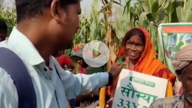 इचाक: किसानों के बीच मक्का बीज का वितरण किया गया