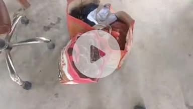 विभूतिपुर: विभूतिपुर पुलिस की बड़ी कार्रवाई: 8.5 किलो गांजा बरामद, दो तस्कर गिरफ्तार, न्यायिक हिरासत में भेजे गए