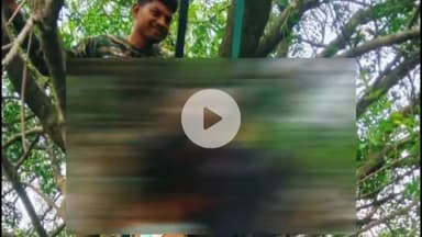 पीरटांड: कुलखी गांव में प्रेमी जोड़े ने फांसी लगाकर जान दी, गांव में सनसनी, पुलिस जांच में जुटी