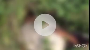 भाटपार रानी: बनकटा थाना क्षेत्र में स्कूल गई किशोरी का शव खेत में झाड़ियों में मिला, जांच में जुयटी पुलिस