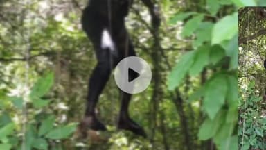 तरबगंज: नवाबगंज के टिकरी रेल मार्ग पर झड़ियों में लटकता मिला अज्ञात शव, पुलिस जांच में जुटी