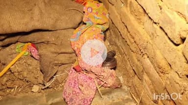 कुरवाई: सिरोंज रोड पर सर्प मित्र परवेज ने एक मकान से जहरीले सर्प का किया रेस्क्यू, सुरक्षित जंगल में छोड़ा