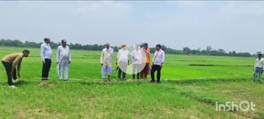 भभुआ: भारतमाला परियोजना के अंतर्गत अधिग्रहित भूमि पर धान की फसल ना लगाने के लिए डीएम ने जारी किए निर्देश