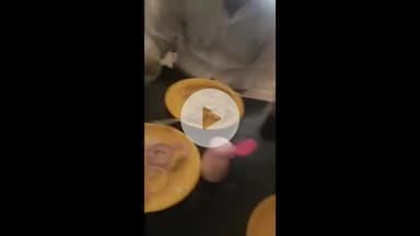 ठाकुरद्वारा: ठाकुरद्वारा काशीपुर रोड स्थित नूर करीम होटल में खाना खाने गए चार दोस्तों के ग्रेवी में निकली मक्खी, वीडियो हुआ वायरल