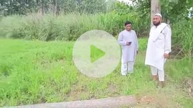 भगवानपुर: किशनपुर गांव के जंगल से वन माफियाओं ने काटे लाखों रुपए के पेड़, मौके पर पेड़ों को छोड़कर फरार हुए