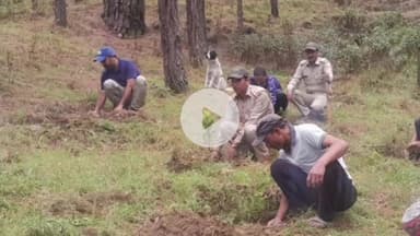 थलीसैंण: थलीसैंण में वन महोत्सव के अंतर्गत वृक्षारोपण कार्यक्रम का आयोजन