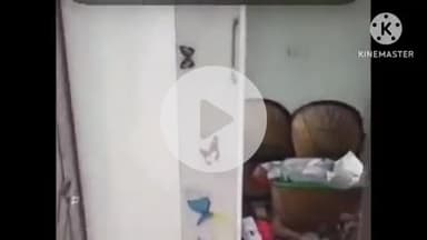 भिवानी: गांव कितलाना में चीफ इलेक्शन कमिश्नर के सिक्योरिटी एडवाइजर के घर चोरों ने 30 तोला सोना किया चोरी