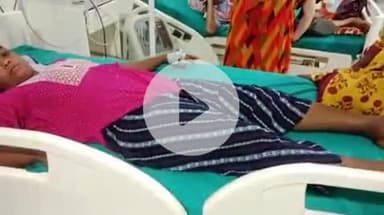 गुमला: जैरागी आवरा टोली में पोको जाडा नामक सांप युवती के पैर से लिपटा, बेहोश होने पर काटा