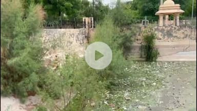 हांसी: हिसार की हांसी आमटी झील में गंदगी: परिसर में भैंसे बंधी, दीवार पर उपले, राजा की बेटी भी डूबी थी