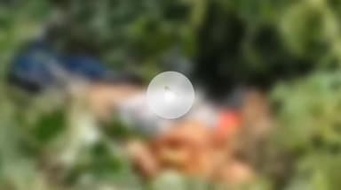 कलियासोल: कालू बथान थाना क्षेत्र के बरवाडी जंगल में युवक का शव मिलने से क्षेत्र में सनसनी