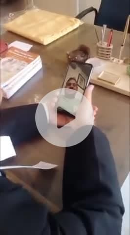 पूर्व जज पटना हाई कोर्ट के राम प्रवेश शर्मा जी से मुलाक़ात हुआ, सुबह 7 बजे का चाय, इन्ही के आवास पर हुआ, 4घंटे बातचीत हुआ