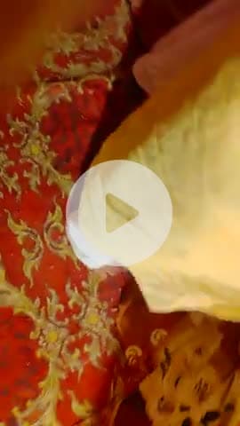 बक्सर नगर के सतीघाट स्थित लाल बाबा आश्रम में महंत पंडित सुरेंद्र तिवारी एवं नीरज सिंह के मार्गदर्शन में प्रसिद्ध आचार्य धर्मेंद्र जी महाराज का प्रवचन श्रवण करने के लिए रवि राज एवं आजाद सिंह राठौड़ सहित हजारों श्रद्धालु एकत्रित हुए। 🙏🙏