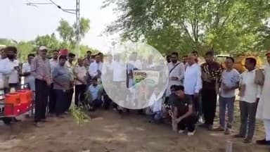 रायसिंहनगर: रायसिंहनगर के 11 TK फाटक के पास रेलवे ट्रैक के किनारे किया गया पौधारोपण का विशेष अभियान