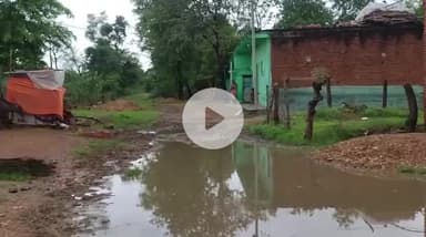 टीकमगढ़: मदनीखेरा गांव में सड़क व नाली का निर्माण ना होने के कारण जगह-जगह हुआ जल भराव, ग्रामीण परेशान #jansamasya