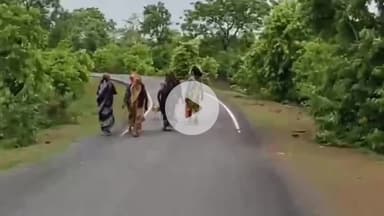 पवई: लकड़ी बेचकर परिवार चलाने को मजबूर आदिवासी,  भीतरी मुटमूरु पंचायत की महिलाओं ने सच्चाई की खोली पोल #jansamaya