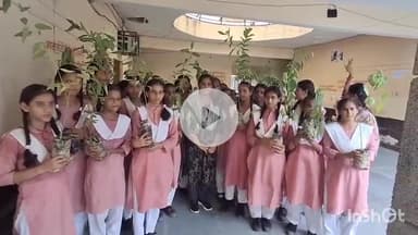 संभल: सदर तहसील परिसर में राजकीय इंटर कॉलेज की छात्राओं ने मां के नाम पर एक पेड़ लगाया, डीएम, एसपी व अध्यापक रहे उपस्थित
