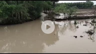 मऊरानीपुर: सिजारी खुर्द में नाले पर कब्जा होने से घरों में घुसा बारिश का पानी, गांव में बाढ़ जैसे हुए हालात