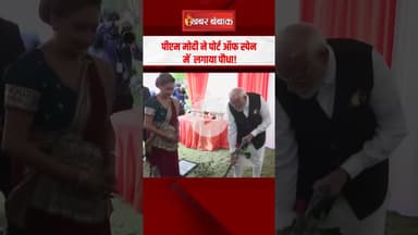 PM Modi और Trinidad और Tobago की प्रधानमंत्री ने Port of Spain में लगाया एक पौधा #shorts