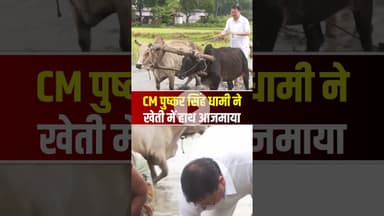 CM Pushkar Singh Dhami ने 5 जुलाई को खटीमा के नगला तराई में खेती में हाथ आजमाया #shorts #cmdhami