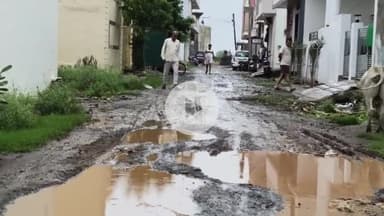 बीना: स्टार होम्स कॉलोनी में सड़क नाली व कचरा गाड़ी नहीं आने से परेशान लोग, कई शिकायत नहीं हुई कार्रवाई
#jansamasya