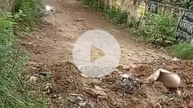 बहादुरगढ़: कृष्णा नगर गली नंबर 4 में लोगों के लिए नगर परिषद ने नाले में पाइप डलवाया, रैंप बनेगा