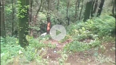 कंडाघाट: चायल के टिबरु गांव में अनियंत्रित होकर खाई में गिरी पर्यटकों की गाड़ी, एक ही परिवार के 4 लोग हुए घायल