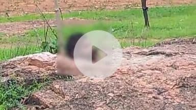 लिधौरा: विजयपुर गांव में युवक का सिर और धड़ अलग मिले, नरबलि की आशंका, पिता की भी मौत