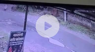 झांसी: पिछोर में स्कूटी सवार व्यक्ति ने कुत्ते को रस्सी से बांधकर घसीटा, कुत्ते की हुई मौत, वीडियो हुआ वायरल