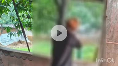 उदयपुर धरमजयगढ़: कापू थाना क्षेत्र में घर के परछी में दामाद की मिली लाश