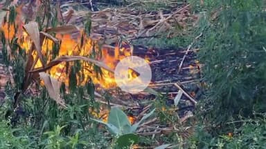 कन्नौज: शिवाजी नगर मोहल्ले के पास खेतों से आई तस्वीर, मक्का फसल के अवशेष जला रहे किसान