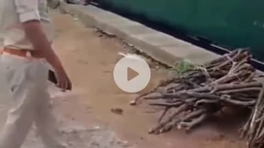 कोडरमा: आसनसोल वाराणसी पैसेंजर ट्रेन से आरपीएफ कोडरमा ने 200 किलो लावारिस लकड़ी ज़ब्त की