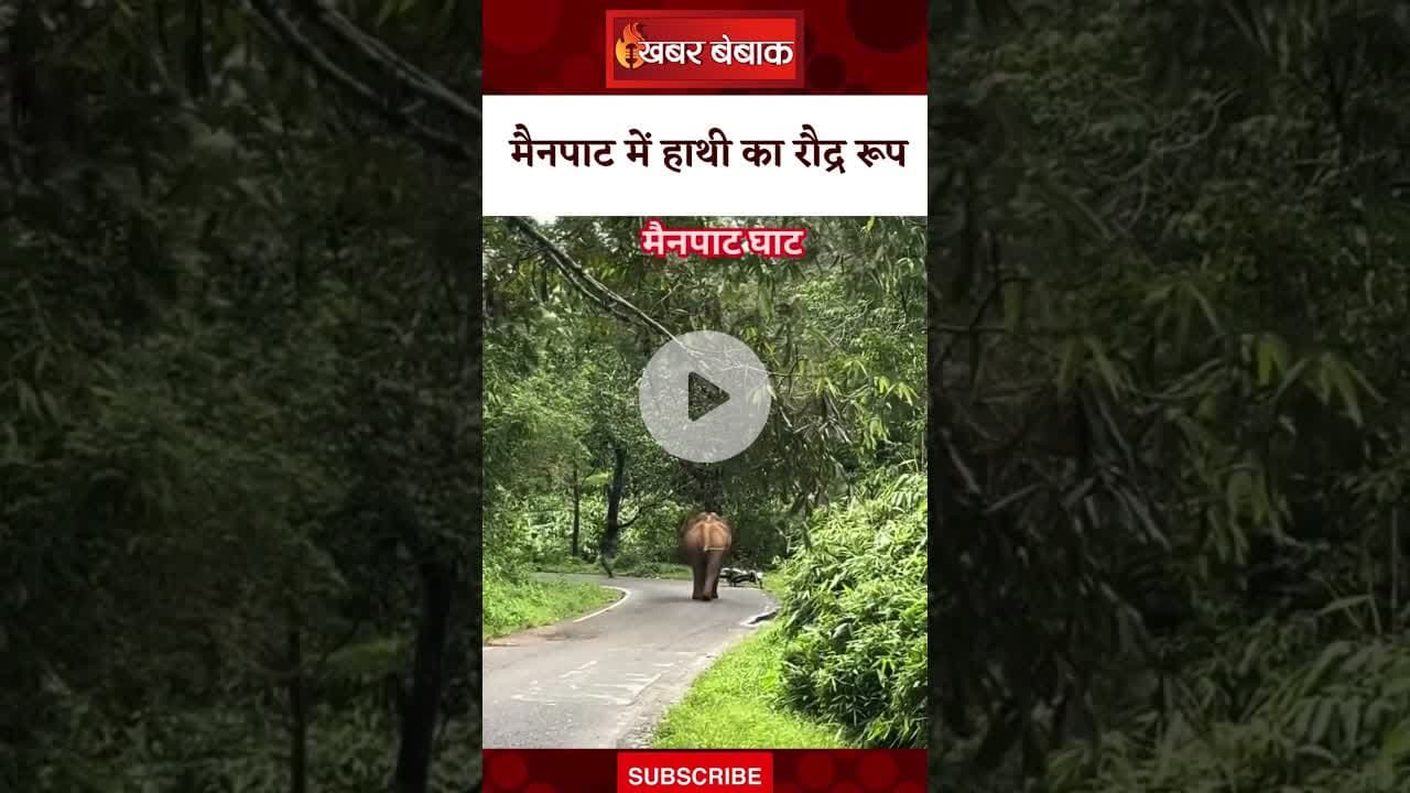 Mainpat में हाथी का रौद्र रूप | CG Elephant Viral Video | #chhattisgarh #mainpat