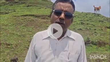 धार: अमृत हरित अभियान बना मजाक, पार्षद प्रतिनिधि अजय ठाकुर ने धार नगर पालिका पर लगाए गंभीर आरोप