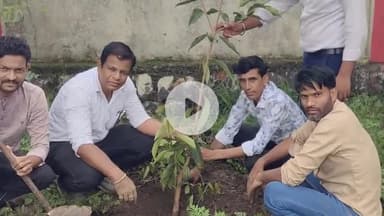 चांद: चांद नगर के शासकीय परिसर में टीचर वेलफेयर सोसाइटी द्वारा 100 पौधे लगाए गए