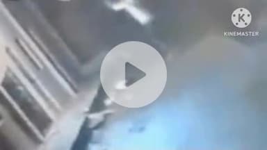 हुज़ूर: भोपाल: निशातपुरा में पालतू कुत्ते पर भौंकने से नाराज़ युवक ने स्ट्रीट डॉग को पीट-पीट कर मार डाला