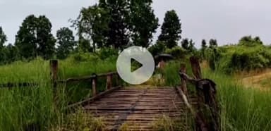 इचाक: आरा में फिर सुर्खियों में गांव का जर्जर रास्ता और अस्थायी पुलिया