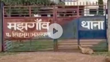 मझगांव: मंझगांव प्रखंड के कंटामनी गांव से 16 वर्षीय युवक लापता, पिता ने थाने में गुमशुदगी दर्ज कराई
