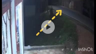 मेदिनीनगर (डालटनगंज): मेदिनीनगर-पांकी मुख्य सड़क पर पोखराहा में बाइक सवार युवक की मौत, सीसीटीवी वीडियो हुआ वायरल