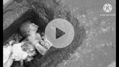 हुज़ूर: भोपाल में ओवर ब्रिज पर मिला नवजात शिशु का शव