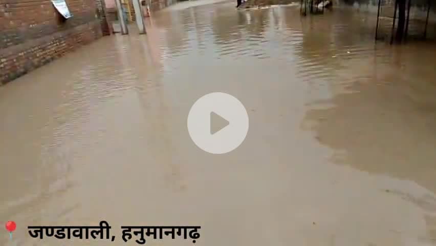 जण्डावाली गांव में जहरीली केली से हाहाकार! ग्रामीणों का दर्द, प्रशासन कब जागेगा?
#Jandawali #Hanumangarh #Rajasthan
