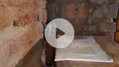 लाडपुरा: आरकेपुरम इलाके के नयागांव में देर रात एक मकान में घुसा कोबरा सांप, स्नेक केचर गोविंद ने किया रेस्क्यू