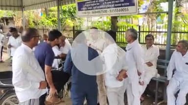 बहादुरगढ़: बराही मोड़ पर सांड ने युवक को पटक कर मार डाला, ऑटो का कर रहा था इंतजार, एक बुजुर्ग भी घायल