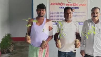 बलियापुर: पलानी एवं रघुनाथपुर पैक्स द्वारा पौधरोपण कार्यक्रम आयोजित