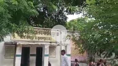 कादीपुर: गोसाईसिंहपुर प्राथमिक विद्यालय सेकेंड में हरे पेड़ में कभी भी उतर सकती है बिजली, बच्चों के लिए बना खतरा