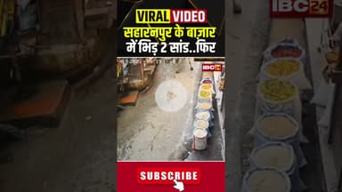 सहारनपुर के बाज़ार में भिड़ 2 सांड..फिर जो हुआ देखिए...#saharanpur #nanauta #shortvideo #shorts
