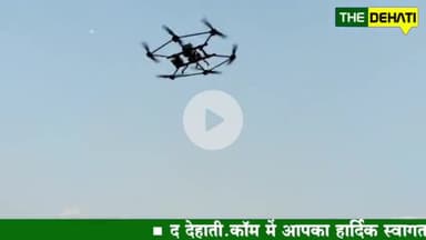 बारिश के मौसम में छाल रेंज के हाटी परिसर में हाथियों का मस्ती करते हुए विडियो वायरल...