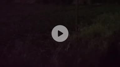 अमरोहा: रजबपुर में अतरासी मार्ग पर बाइक सवार को तेंदुआ दिखाई दिया