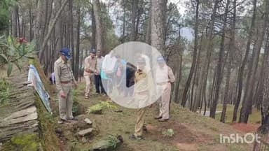 धौलछीना: वन महोत्सव के तहत 'एक पेड़ मां के नाम' अभियान की हुई शुरुआत, कपड़खान में वन विभाग ने विभिन्न प्रजातियों के पौधे लगाए